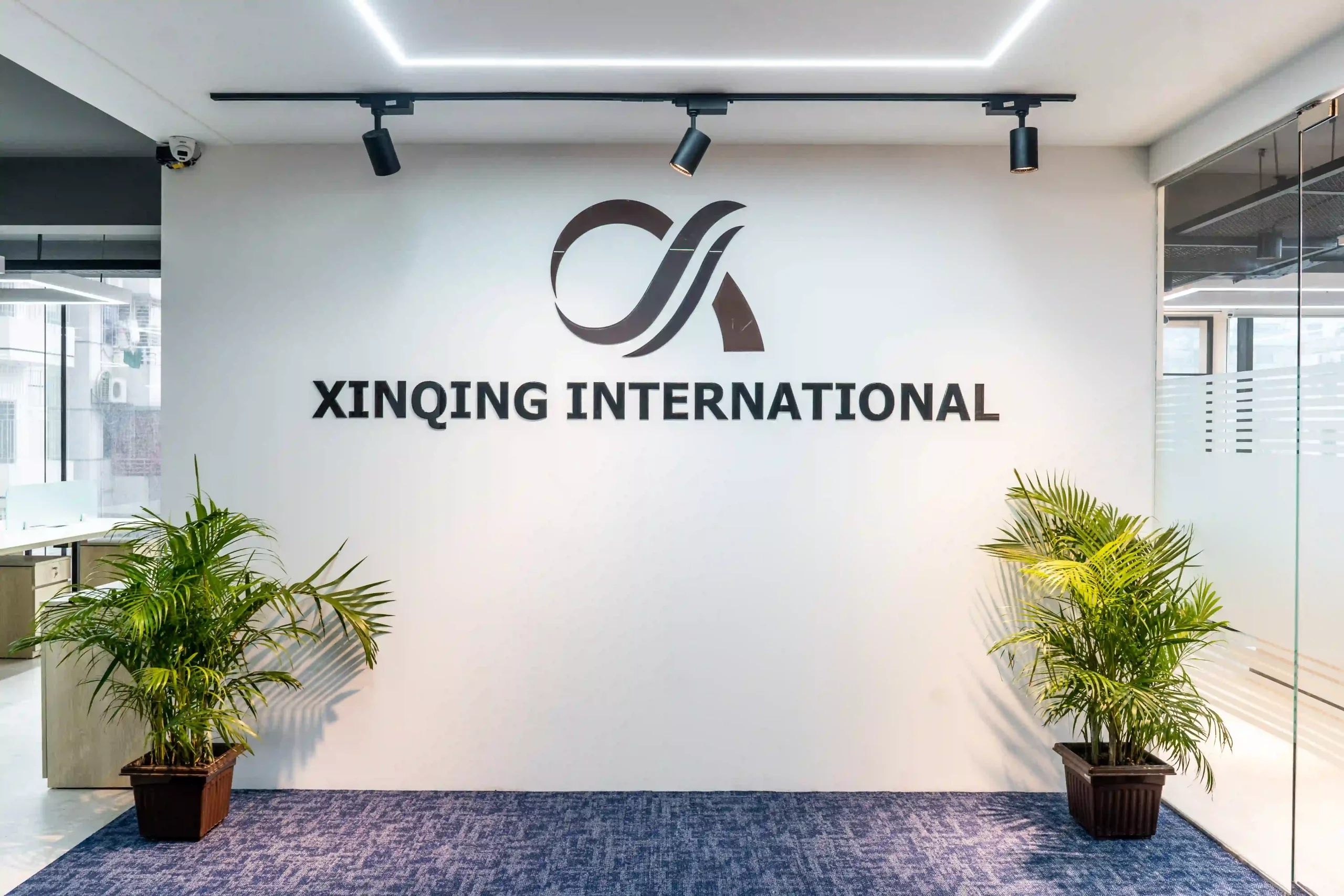 Xinqing International